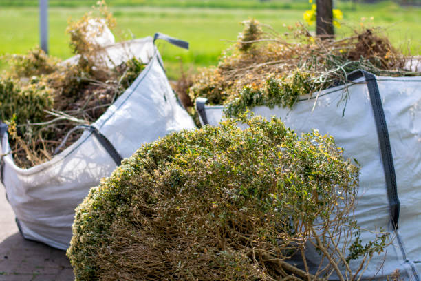 Best Property Management Cleanouts  in Boonton, NJ